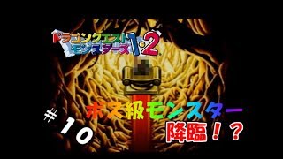 【生実況】モンスター連れて強くなれ！【ドラクエモンスターズ1・2(テリー編)】　＃10