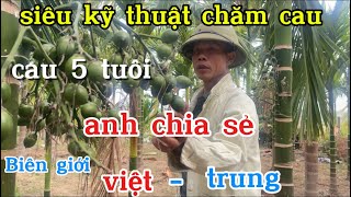 siêu kỹ thuật chăm cau 5 tuổi ra buồng