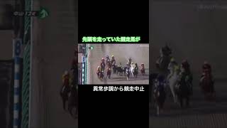 先頭を走っていた競走馬が突然異常歩調になる