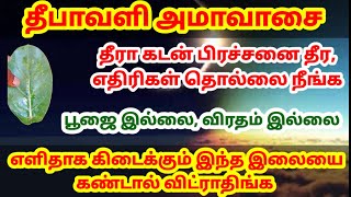 தீரா கடன் தீர எதிரி தொல்லை நீங்க இந்த இலையை கண்டால் விடாதீங்க|கடன் தீர|கடன் பிரச்சனை|கடன் அடைய|kadan