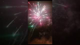 Fireworks #fireworks #reels #viralvideo #trending #trendingshorts #night #light #viralshort #facts