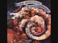 The Moody Blues A Question Of Balance 07 Minstrel's Song