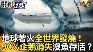 地球著火全世界發燒！90%企鵝消失沒魚存活？- 關鍵時刻精選 馬西屏 陳耀寬 黃創夏 傅鶴齡 王瑞德