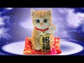 招福猫があなたに福を招きます。※注目ポイントに注目して最後まで見てください※