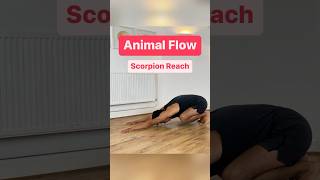 Animal Flow - Scorpion Reach 🦂 #animalflow #primalmovement #scorpionreach #yogaflow