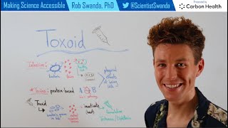 Toxoid Vaccines Explained