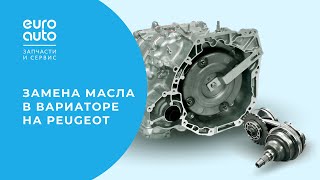 Замена масла в АКПП: обслуживание вариатора Peugeot 4007