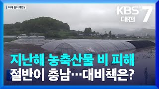 지난해 농축산물 비 피해 절반이 충남…대비책은? / KBS  2023.06.15.