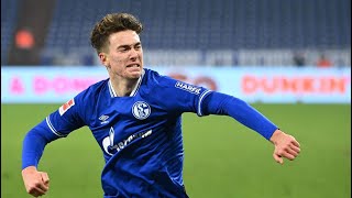 Harit und Hoppe machen Schalke froh - DER SPIEGEL - Sport