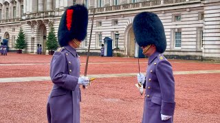 PROUD TO BE BRITISH 🇬🇧 CHANGING OF THE GUARD AT BUCKINGHAM PALACE AND HORSE GUARDS