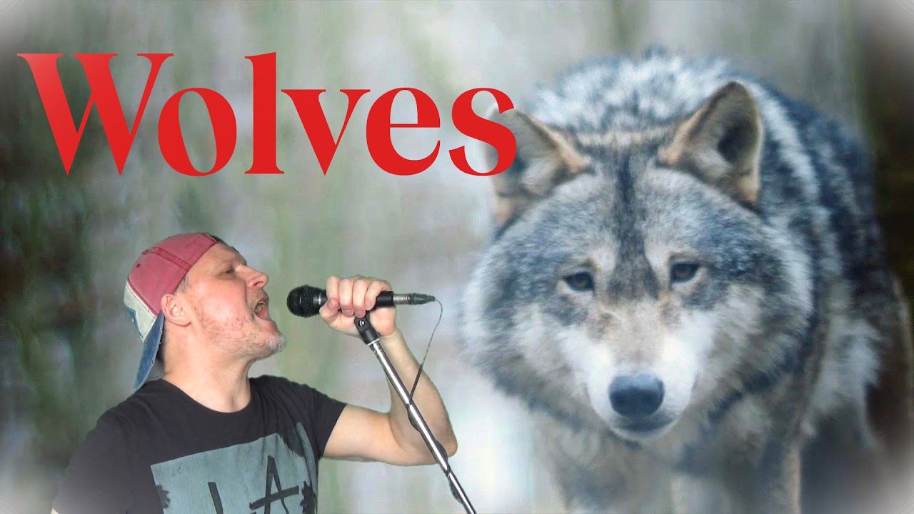 Wolves Original Song Of Miss Understood Wolf Youtube