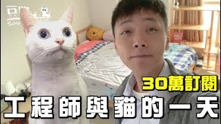 【SoybeanMilk_Cat】 A Day of An Engineer and His cat