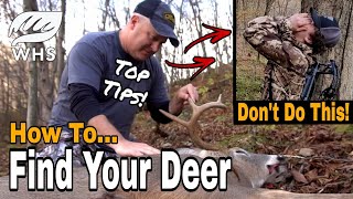 Critical Deer Recovery Tips