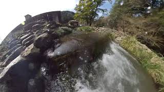 【ホタルの川】深坂自然の森に流れる川の風景　01　~深坂自然の森~山口県　下関市