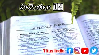 Proverbs 14  l Audio In Telugu  | సామెతలు 14 |March 14 |Fasting Prayer Reading |