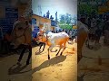 vellore eruthukattu whatsapp velloreeruthukattu vellore eruthukattu song