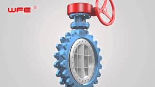 WFE Lug Sealing Butterfly Valves 3D Demonstration