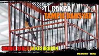 TLEDEKAN TAMPIL EDAN||CAKRA TLMA