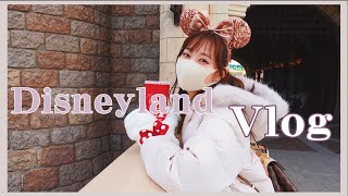 【渡辺美優紀】クリスマスディズニーランドVlog♡【みるきー】