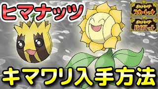 【ポケモンSV】ヒマナッツ・キマワリ入手方法（出現場所）！進化条件も解説します！【スカーレット・バイオレット】