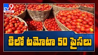 Tomato price drop down to 50 paise per kg - TV9