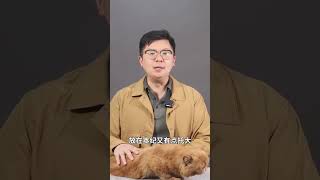 为什么萧何能进世家，韩信只能进列传？#史记 #历史 #文化