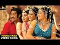 Yamadonga Songs | Young Yama Video Song | Jr NTR, Navneeth Kaur, Archana | Sri Balaji Video