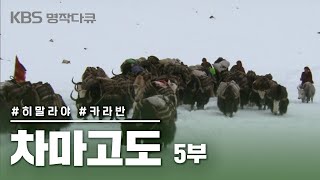 [KBS 명작다큐] 차마고도  5부: 히말라야 카라반 (FULL영상) #창탕고원