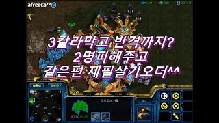 [스틱] 3칼라막고 리버의기적+제필살기를 같은편에게 오더로 2vs3대역전 헌터 스타 팀플 StarCraft Hunter TeamPlay 星際爭霸