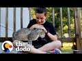 Girl Is Determined To Earn This Cat’s Love | The Dodo Faith = Restored