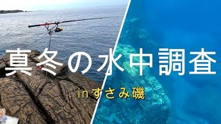 すさみ磯で釣れんから冬の水中調査してみた