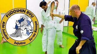 Fudoshinryu Training Amsterdam Dojo - Aiki Jujutsu Self-defense (updated)
