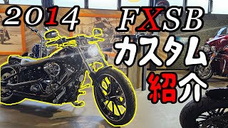 ハーレーダビッドソン ソフテイル ブレイクアウト カスタム紹介