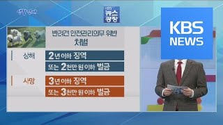 [생활경제] 잇단 개 물림 사고에 안전 의무 강화? / KBS뉴스(News)