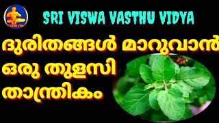 ദുരിതങ്ങളും തടസ്സങ്ങളും മാറുന്നതിനായുള്ള ഒരു തുളസി താന്ത്രിക വിദ്യ||MANTHRA|| SRI VISWA VASTHU VIDYA