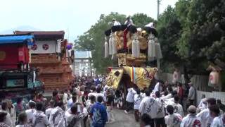 野々市御輿　2011　愛媛県　西条市　氷見