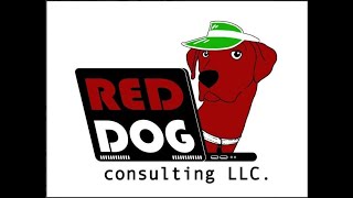 hybrid card 3 minute pitch Red Dog Consulting LLC