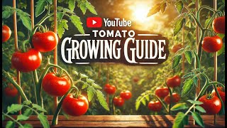 🌱🍅 Tomato Success! Your Step-by-Step Guide to Growing Perfect Tomatoes 🍅🌞