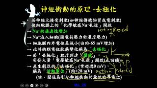 11002選修生物三ch4 1 08動作電位的產生過程與機制(二良)