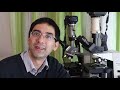 🔬 075 beginner s microscopy q u0026a microscopy