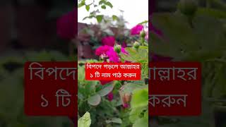 বিপদে পড়লে ১টি নাম পাঠ করুন #bipodmuktirdua #বিপদথেকেমুক্তিরদোয়া #trendingshorts #trending # #dua