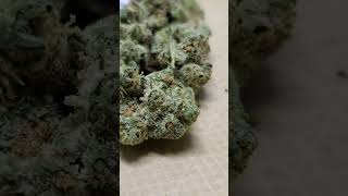 London Pound Cake 1min strain review