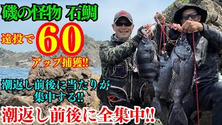 【石鯛釣り】磯の王者イシダイを狙う❕HIT連発❕60オーバー捕獲❕