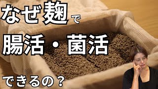 【麹が腸活菌活に最適な理由とは？】麹の発酵調味料のすごいパワーとすぐ始められる腸活について解説しました！