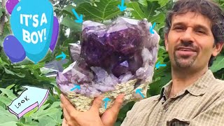 Amethyst Crystal Birth of Mr. Hugh Mungus | Amethyst Mining | 350 Million Year Old Birthday!