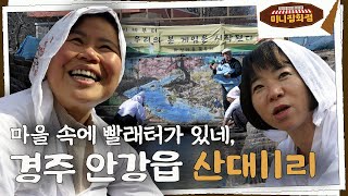 [라이브오늘_미니잡화점] EP38. 건물 사이에 피어난 장미 - 경북 경주시 안강읍 산대11리 | KBS대구 240229