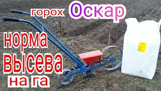 Сколько гороха нужно для 1га земли и какой заработок на горохе Оскар