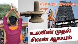 உலகின் முதல் சிவன் ஆலயம்/watch full video #uthirakosamangai #sivantemple #firstsivantemple