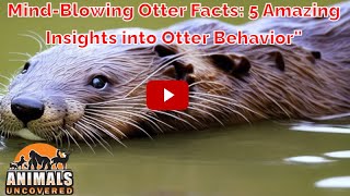 Otterly Amazing: 5 Mind-Blowing Facts About Otter Behavior