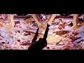 BTS (防弾少年団) '血、汗、涙 -Japanese Ver.-' MV
